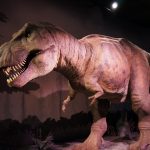 ロンドン自然史博物館の恐竜